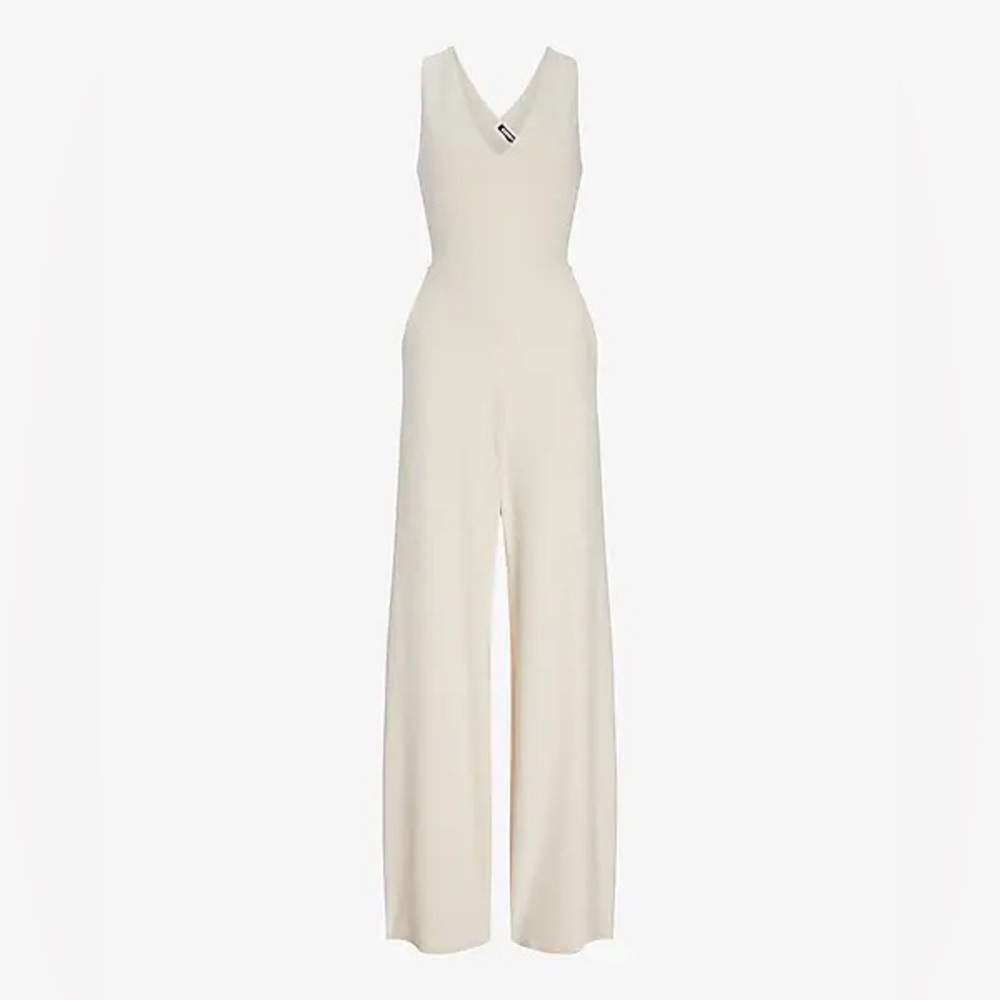 Express V-Neck Strappy Back Jumpsuit